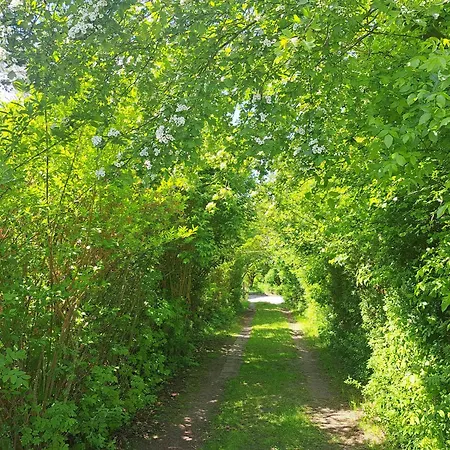 Nature Retreat By Nyaraló *