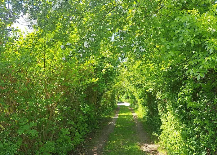 Nature Retreat By Prázdninový dům *