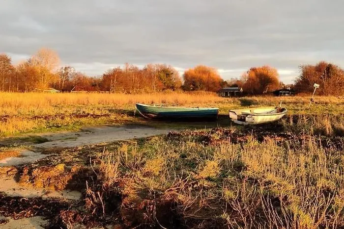 Nature Retreat By * Jægerspris